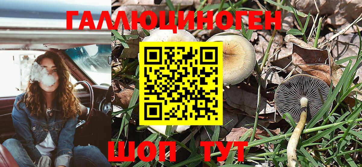 Галлюциногенные грибы GOLDEN TEACHER Керчь